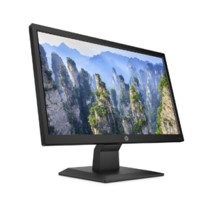 HP 19-Inch Wide LCD Monitor